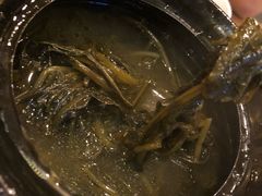 -老号尤兔头(幸福店)