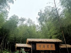 -宁波浙东大竹海景区