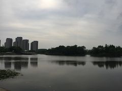 -新江湾城公园