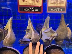-協成海鮮火鍋(老店)