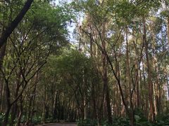 -南国桃园旅游度假区