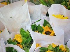 -循礼门鲜花花市(武汉循礼门店)