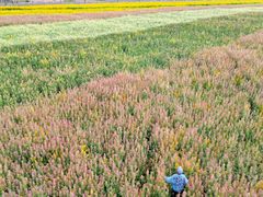 -中国天府农业博览园
