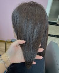 -YESIDO椰岛造型