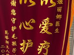 -艾吉宠物医院·疑难杂症转诊中心·猫友好(碧江路院)