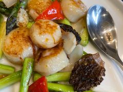 炒带子-新加坡泰国村酒楼(五角场店)