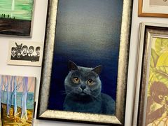 -信马画室 成人零基础到个人创作画室(亚运村店)