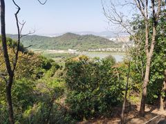 -风云岭森林公园