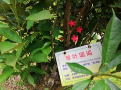 -晓港公园