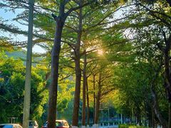 -凤岗南门山森林公园
