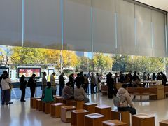 -Apple零售店(青岛万象城店)