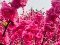 -绿堤公园