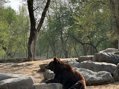 -北京野生动物园