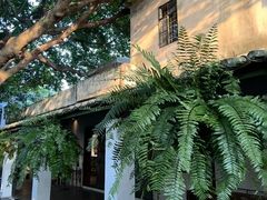 -喜洲吧·江畔老船厂·庭院餐厅(喜临院店)