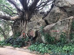 -宋井风景区