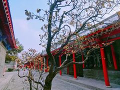 -慈恩寺