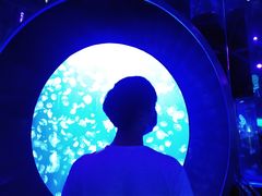 -成都浩海立方海洋公园