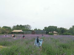 -汉仪华裳汉服旗袍·摄影写真馆(乌镇西栅店)