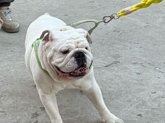 -小意思咖啡店(草桥店)