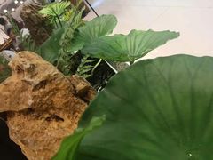 -新辣道鱼火锅(航天万源店)