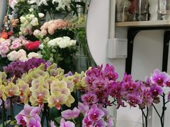 -FEI FEI FLOWER鲜花店·气球派对·宝宝宴布置(虹口德必运动Loft店)