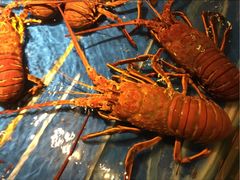 -万龙洲海鲜(南新仓店)