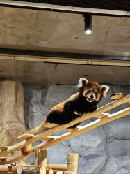 -Zoolung Zoolung动物主题公园(海信广场店)