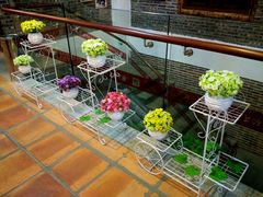 -百年银屏蚝烙·潮汕菜·非遗(乐山店)