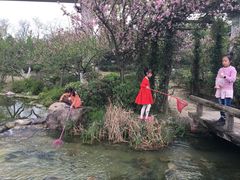 -秀丽东方