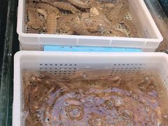 -妈妈菜舟山海鲜(定海古城店)