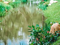 -人民公园(罗湖区)