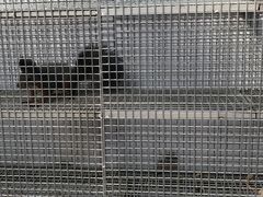-北戴河集发农业梦想王国