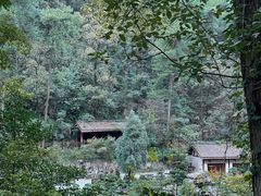 -南山植物园