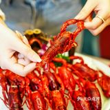 红角龙虾～龙虾届的爱马仕呀