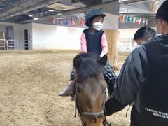 -李振强马术运动推广中心(南城店)