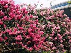 -杭州城北体育公园