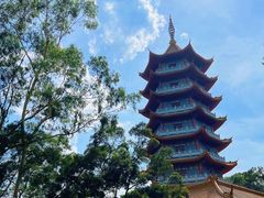 -白云山风景名胜区