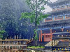 -武陵山森林公园