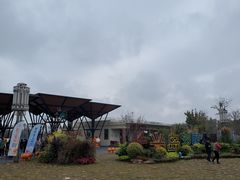 -上海长兴岛郊野公园