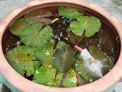 -李叔同故居纪念馆