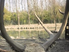 -溱湖国家湿地公园