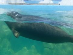 -多彩贵州城极地海洋世界