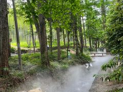 -东明山森林公园
