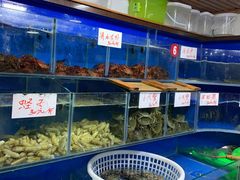 水产区-张树军海鲜(王府壹号店)