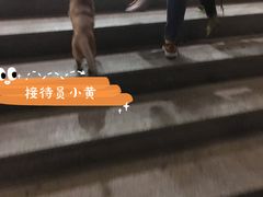 -呼吸森林·生态农庄农家乐私房菜