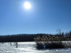 -野鸭湖国家湿地公园