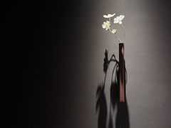 -安屿an·spa(卓悦中心商场店)