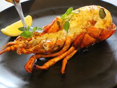 -Mercato莫卡多露台餐厅与酒吧(K11店)