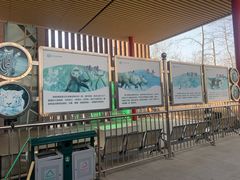 -秦皇岛野生动物园