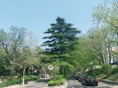 -八大关景区